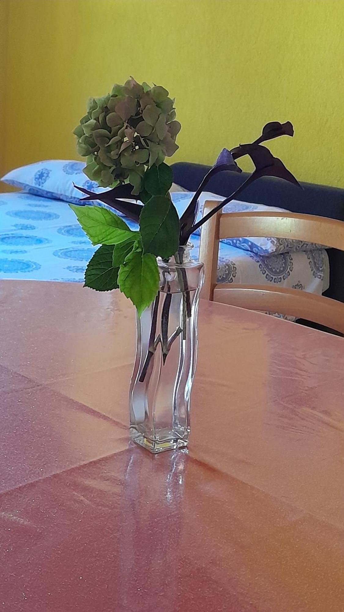 Apartments Renata - Brseč Екстериор снимка