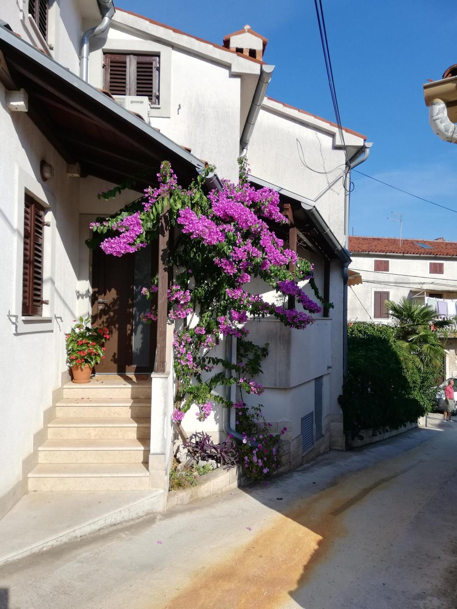 Apartments Renata - Brseč Екстериор снимка